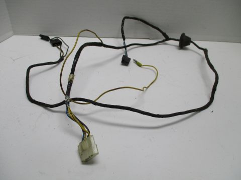 Cruise control wiring harness