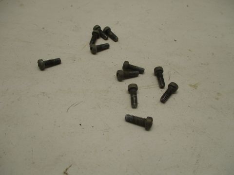 Headlight bezel screws