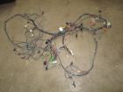 Wiring harness, main