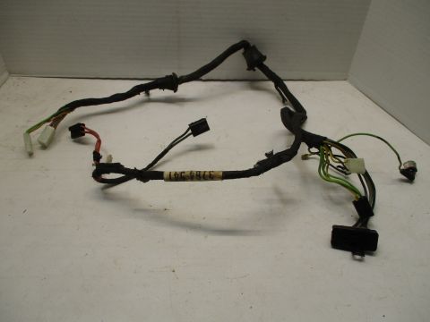 Wiring harness for rear door