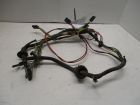 Wiring harness for rear door