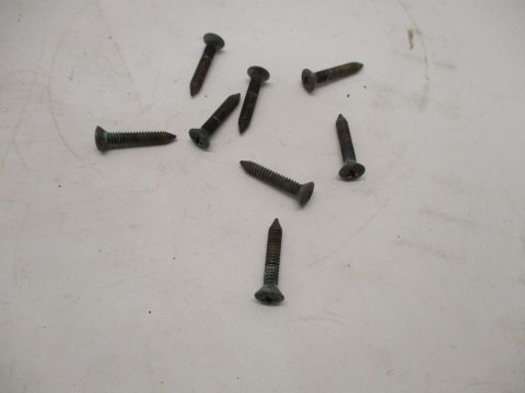 Taillight screws