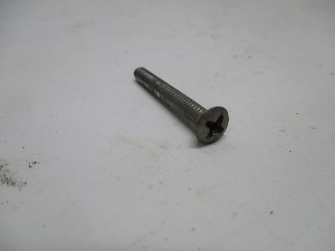 Screw for taillight bezel