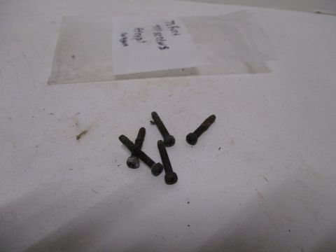 Package of 5 taillight lens screws