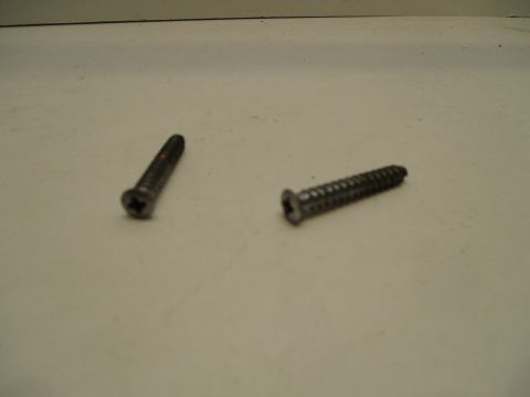 Screws for door assist handle