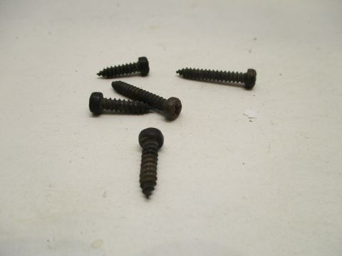 Screws for radio bezel