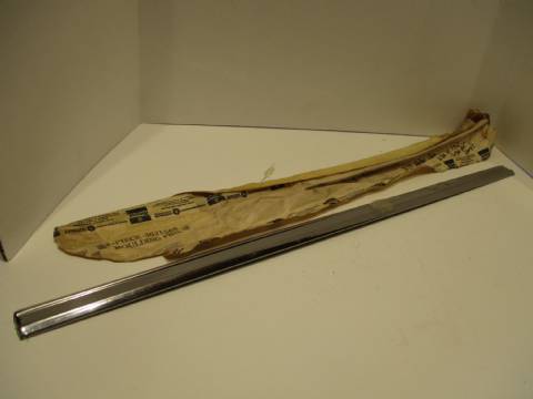 Side or rear cargo door lower moulding