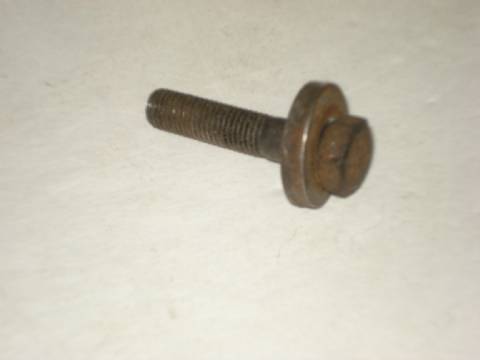 Bolt and washer