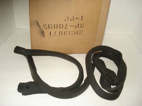 Lower tailgate opening weatherstrip